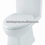 HDC6116A Washdown one-piece toilet HDC6116