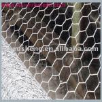 hexagonal iron wire mesh/chicken mesh HEX