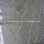 Hexagonal Wire Netting, DY100*120