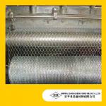 Hexagonal Wire Netting/hexagonal retaining wall wire netting cs1705