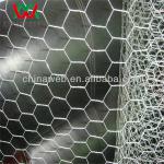 Hexagonal wire netting in reverse twist web-hm0116