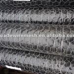 Hexagonal Wire Netting Manufacturer HD-MESH