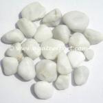 High Polished White Pebble Stones : Wholesale Pebble Stones Pebble-003