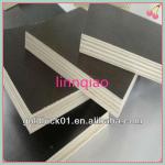 High quality china 18mm shuttering plywood specifications QFFP-81