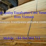 HIGH QUALITY EUCALYPTUS CORE VENEER FROM VIETNAM 84 9 6600 4713