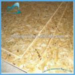 high quality panel osb with competitive price BTOZ13071802