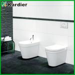 High quality plastic wc concealed toilet set KDR-009B