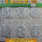 high quality red granite blind tactile wjn97