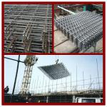 high quality reinforcing mesh (anping factory) TS-CR1