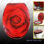 High Quality Resin Toilet Seat hpjj-1245