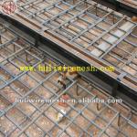 High Quanlity Construction Mesh (ISO9001 manufacture) HL_110