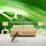 home decoration wallpaper JQFL-208