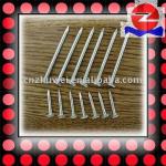 Hot dipped galv.Clout nails Good quality 2.8-3.2mm