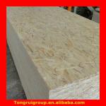 hot sale best qualtiy osb board with cheap price TR-OSB00320