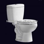 Hot Sale Washdown Two-piece toilet with tank HTTT-A2110 HTTT-A2110