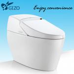 Hot Sell Fashion Design Full Automatic Toilet Bowl LZ-0701Z