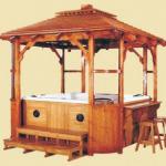 hot spa tub, pool tub,walk in tub PFDJJ-8905