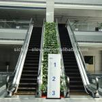 Indoor Escalator zhejiagn manufacturer price GRE30