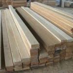 Keruing Sawn Timber9