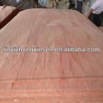 keruing veneer/commerical wood veneer/Natural face veneer 1220*2440mm