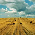 lands/farms for agricultural production 001