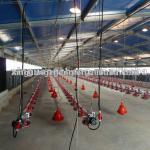 Light Prefabicated steel structure poultry farm design chicken poultry shed layer chicken shed WYP-XGZ-001