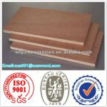 Linyi Red bintangor plywood price 1220x2440mm