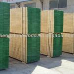 lvl scaffold board( Pine &amp; Eucalyptus ) (board-001)