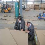 MDF/Melamine MDF Board/Furniture MDF Board 4X8