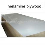 melamine concrete formwork plywood 1220x2440 and others