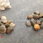 Mixed Color Polished Pebbles for Landscaping Paving DL-Pebbles