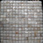 Natural Freshwater Shell Mosaics /River Shell Mosaic Indoor Tiles JP-A115