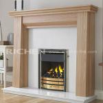 Natural Gas Fireplace Insert GF08B gas fireplace