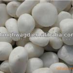 Natural Landscaping Pebble/Cobble Stone for Garden Decoration and Design (3-120mm) 3-120mm