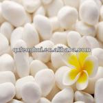 Natural Round Snow White Pebbles 5mm-40mm (as your requirement)