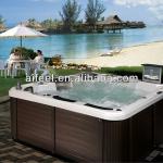 New design hot sale fashionable outdoot / indoor spa and hot tub AF-2230