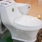 New modern bathroom one piece toilet 2144 T2144