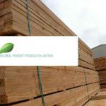 New Zealand Radiata Pine Timber