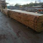 Oak timber