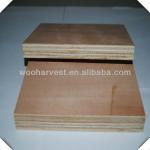 Okoume/bintangor Commercial Plywood WH,1220x2440mm