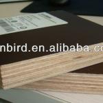 Okoume/Bintangor/Keruing/pencil ceder veneer faced commercial plywood,furniture grade plywood Fiberwood