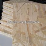 Oriented Strand Board,OSB 1220*2440*9mm