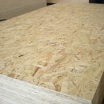 oriented strand board /osb board furniture use china manufacture 1220x2440,1250*2500