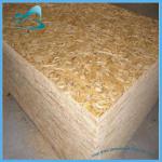 osb board,particle board,chipboard BTC19