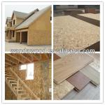 OSB (oriented strand boards)for construction 1220x2440mm