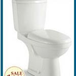 OT-6006 washdown two piece water closet toilet bowl 6006