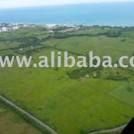 Panama Investment Opportunity Prime Land with titlework