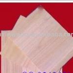 paulownia lumber SXAB-0149