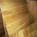 Paulownia veneer face/back plywood for furniture paulownia