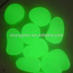 Paving stone Glow in the dark Pebble